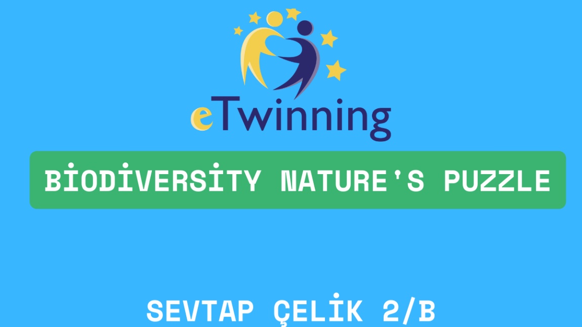  Biodiversity Nature's Puzzle  E-Twinning Projesi
